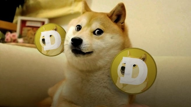 every doge has its day x369 1px