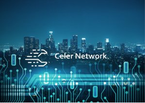 celer network price