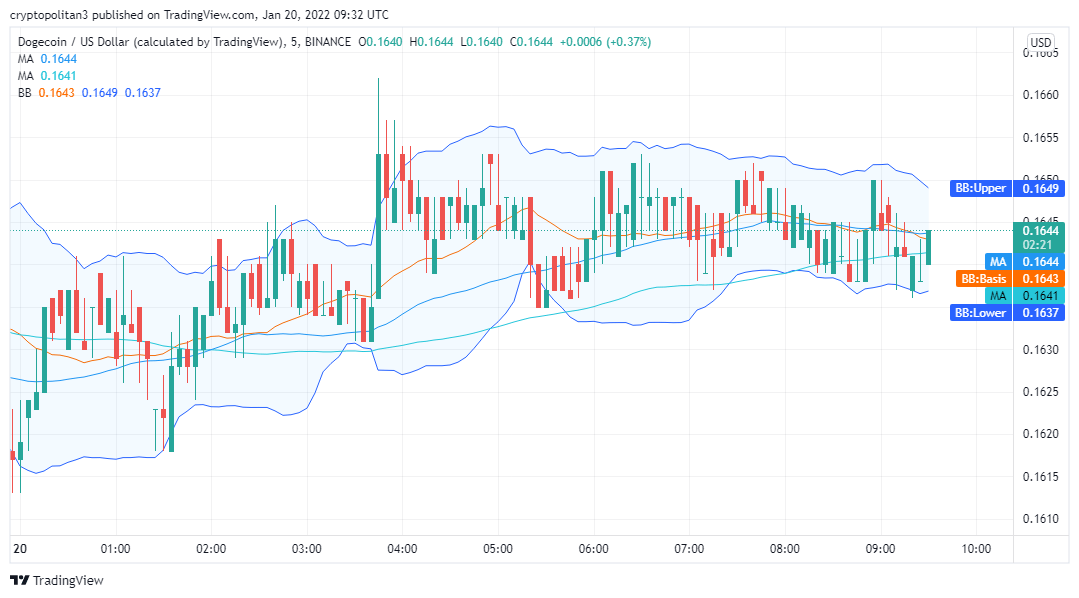 Dogecoin Price Analysis: DOGE/USD bearish for the next 24 hours 2 Dogecoin Price Analysis: DOGE/USD bearish for the next 24 hours 2