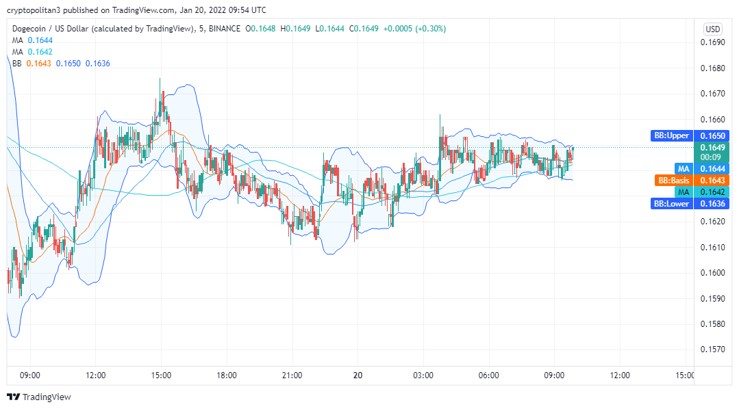 Dogecoin Price Analysis: DOGE/USD bearish for the next 24 hours 1 Dogecoin Price Analysis: DOGE/USD bearish for the next 24 hours 1