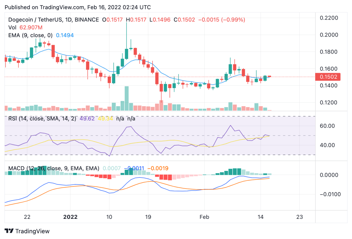 Dogecoin price analysis: DOGE set to rally 40 percent after recovering from $0.1357 support 2 Dogecoin price analysis: DOGE set to rally 40 percent after recovering from $0.1357 support 2