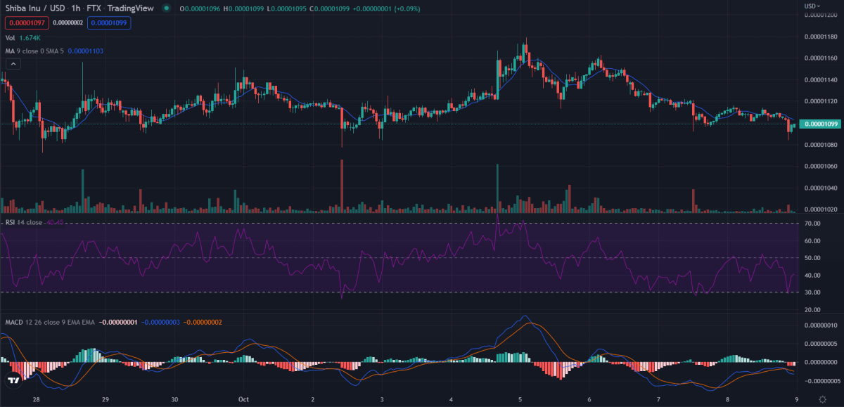 1-hour Shiba Inu price analysis