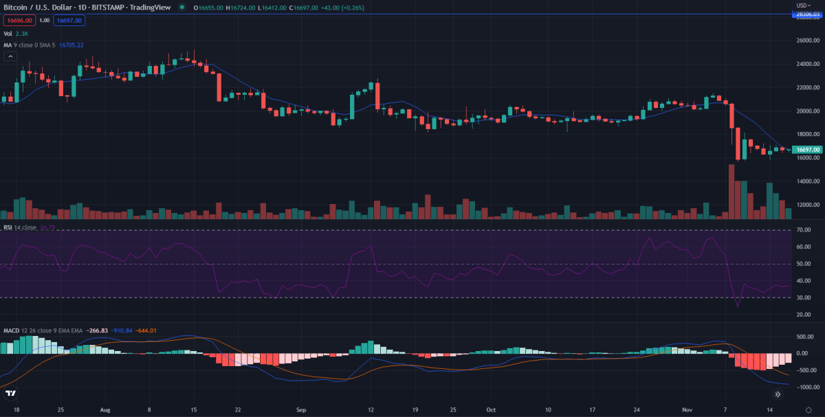 Analisi del prezzo di Bitcoin: BTC/USD sale lentamente, presto ritesterà $ 16900? 2 1-day Bitcoin price analysis