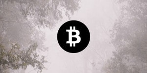 Prévision de prix Bitcoin 2022.11.16.