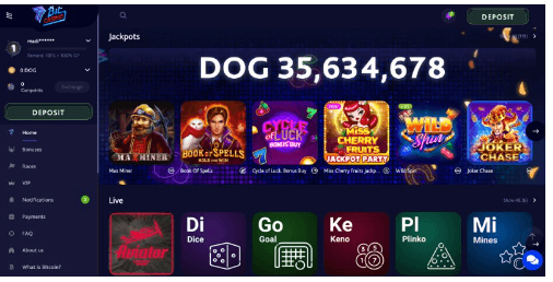 Best Dogecoin Casinos and DOGE Gambling Sites Online in 2022 1 image 173