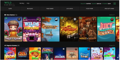 Best Dogecoin Casinos and DOGE Gambling Sites Online in 2022 5 image 177