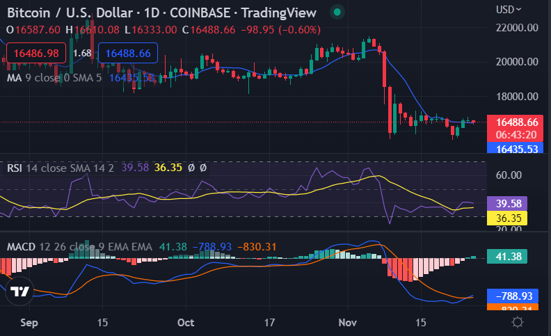 Bitcoin price analysis: BTC falls below $16,500, takes a step back after its short-lived rally 2 image 423