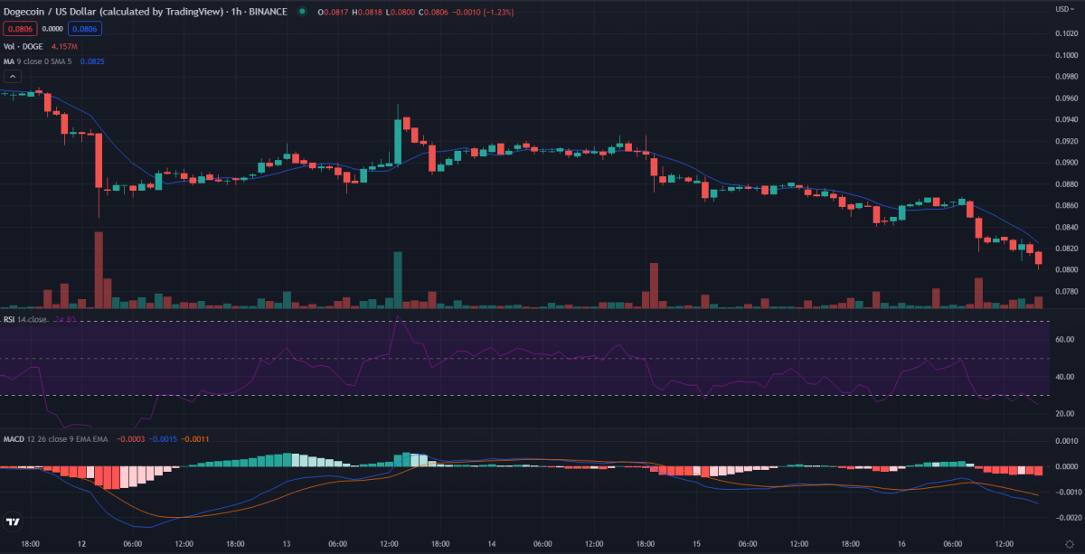 1-hour Dogecoin price analysis