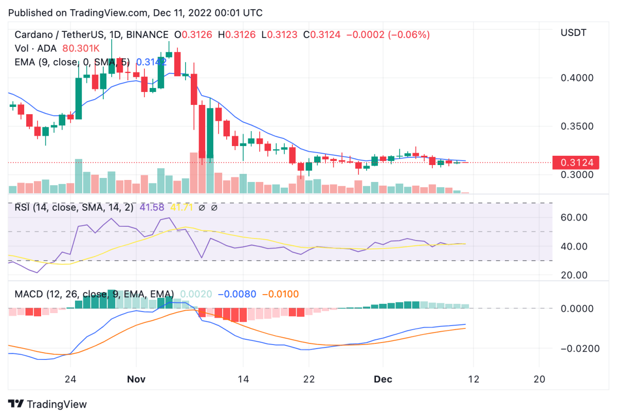 Cardano price analysis: ADA targets bullish move up to $0.379 2 ADAUSDT 2022 12 11 00 01 08