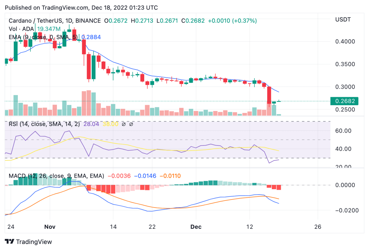 Cardano price analysis: ADA drops below $0.30 to pose severely bearish trend 2 ADAUSDT 2022 12 18 01 23 50