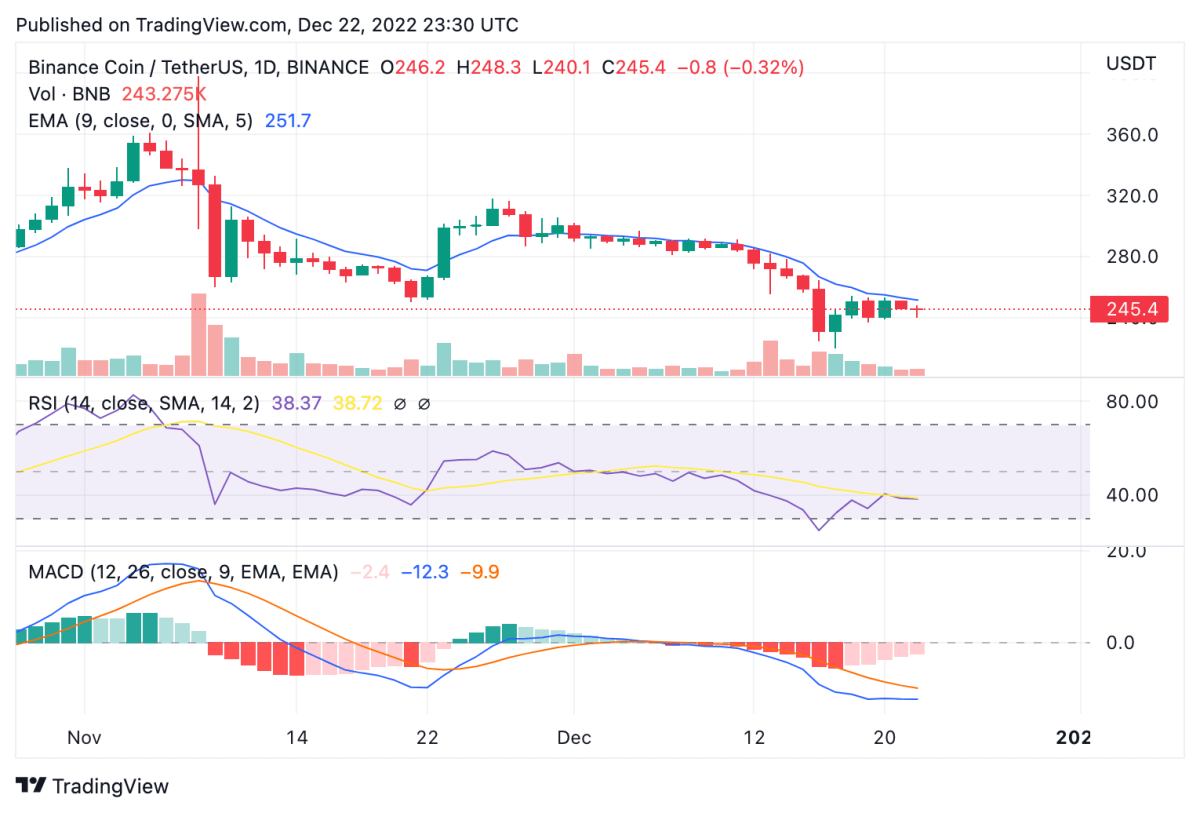 Binance Coin price analysis: BNB remains bearish after dropping 12 percent during the week 2 BNBUSDT 2022 12 22 23 30 40