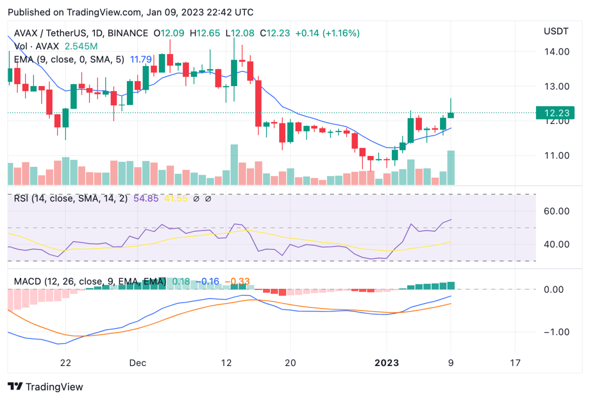Analisi del prezzo della valanga: il trend rialzista di AVAX supera la resistenza di $ 12 6 AVAXUSDT 2023 01 09 22 42 10